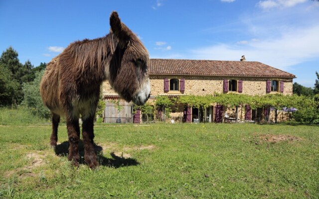 Léone Haute