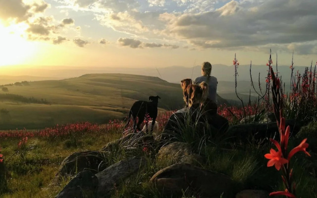 Magical Teepee Experience Hogsback - Glamping