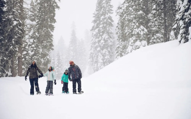 4025 Ski Trails
