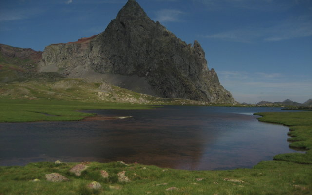 Saliecho