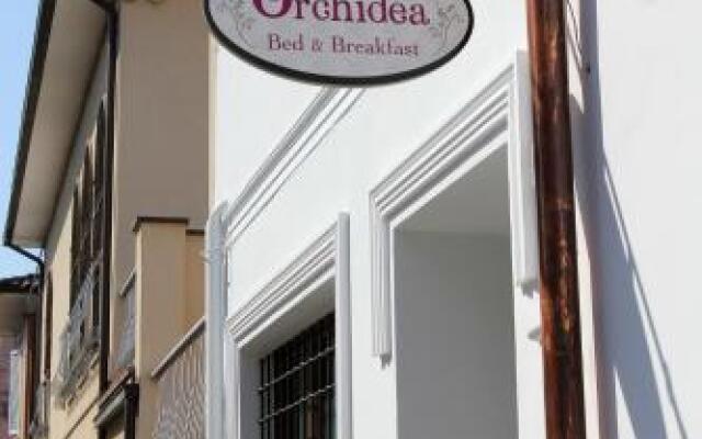 Orchidea B&B