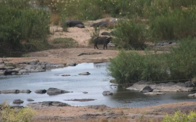 Villa Too Kruger Lodge