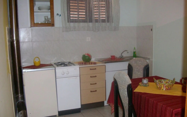 Riley - at the sea - A4-martino 4