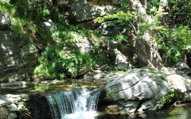 Onar Andros