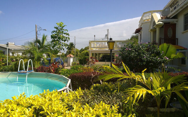 Palm Paradise Guest House and 2 Apartments