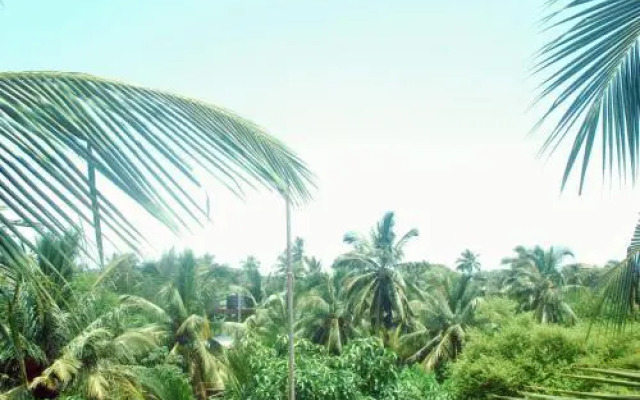 Calangute beach side hotel