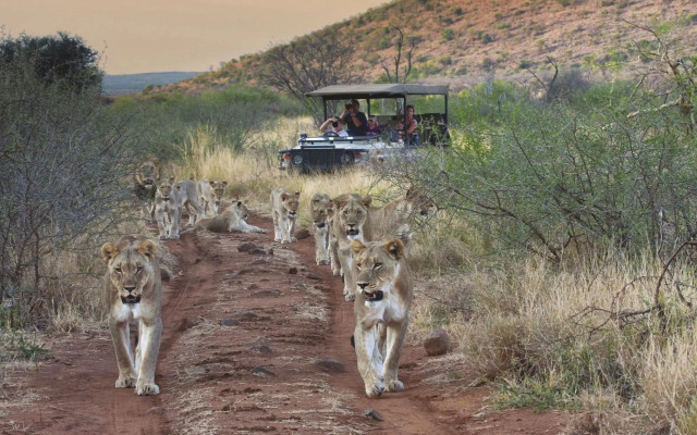 Tuningi Safari Lodge