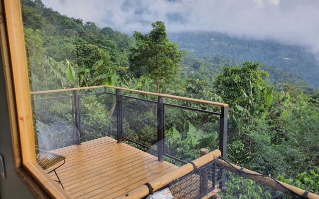 Hotel La Palma y El Tucan - Coffee & Nature