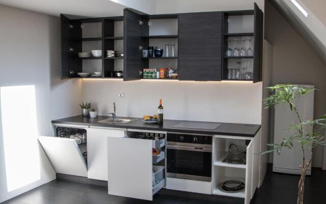 Apartment Penthouse Festina Lente