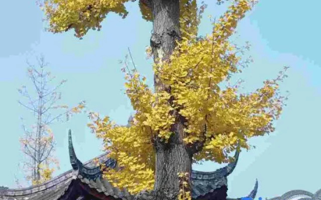 Yiqinyuan Inn – Outside – Chengdu