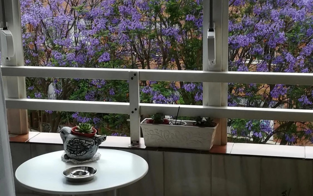 Luminoso y amplio apartamento