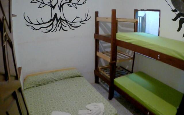 Hostel FreeDive Inn