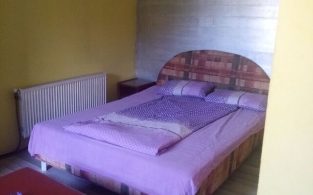 pink Hostel Mimi