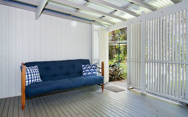 Pandanus - Lennox Head
