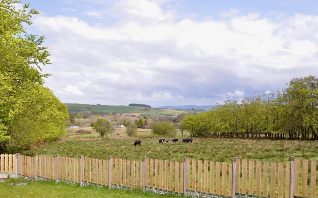 Glennydd
