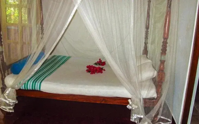 C-Lanka Family Guesthouse