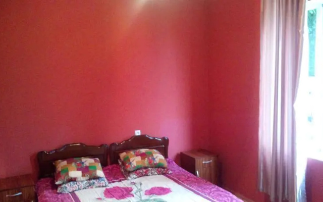 Bidzina Guest House