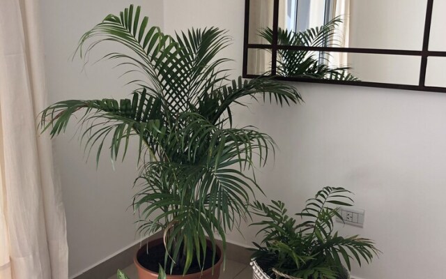 Comodo y Tranquilo Depto Centrico