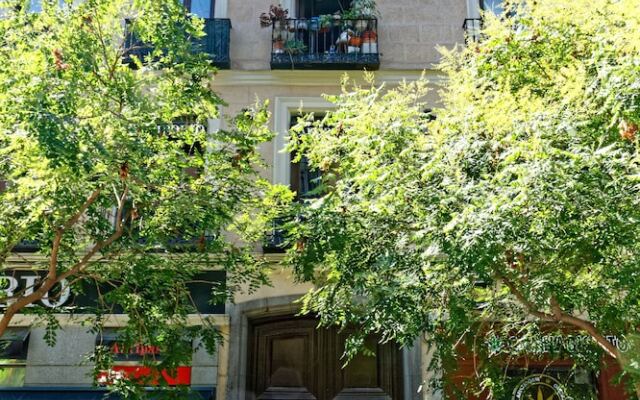 Arenal Suites Preciados