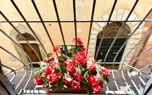 Maison del Fico Piazza Navona