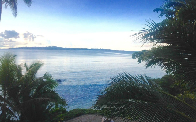 Taveuni Palms