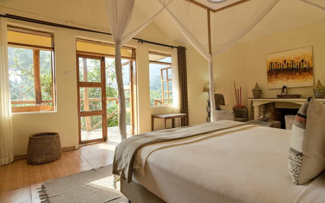 Gorilla Safari Lodge
