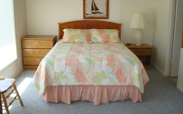 Serene Seashell 508BH
