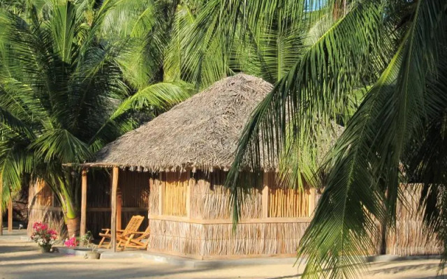 Funky Far Nest Tropical Resort