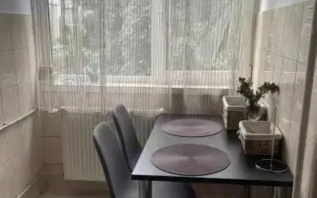 Alecsandra S Apartment Ultracentral