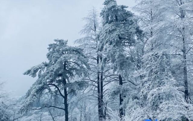 Xiaowa's family wild luxury party group building parent-child homestay