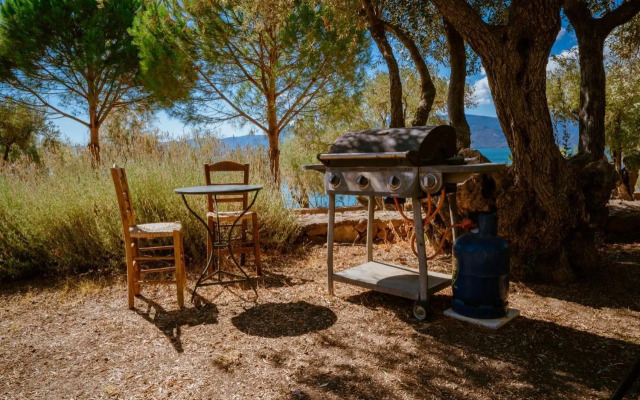 Traditional Architecture Seafront Stone House in 25000sqm Olive Grove - C