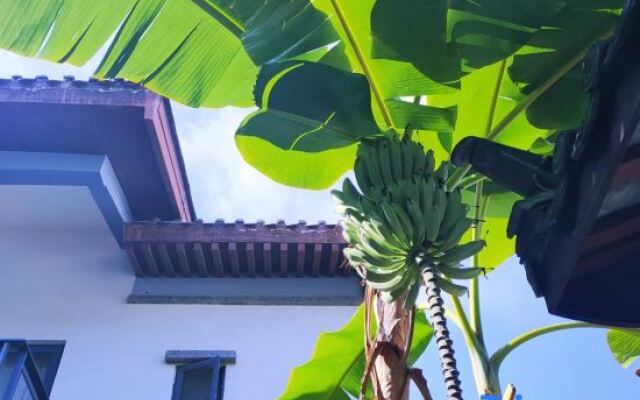 Rezen Retreat Xingyi