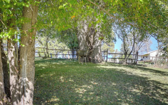 Lead Hideaway w/ Fireplace, Grill & Deck!