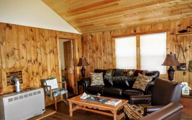 Knotty Pine- White Pine