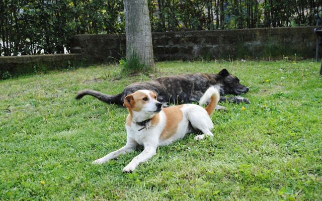 Agriturismo Tenuta Serpepe