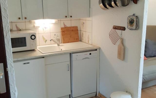 Appartement Les Deux Alpes, 1 pièce, 4 personnes - FR-1-516-51