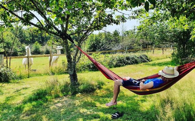 Loire Valley Llama Farm Stay