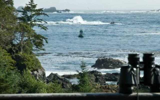 Wild Shores Guest House