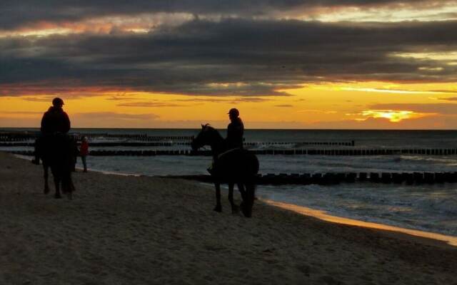 Strandburg Modern Retreat