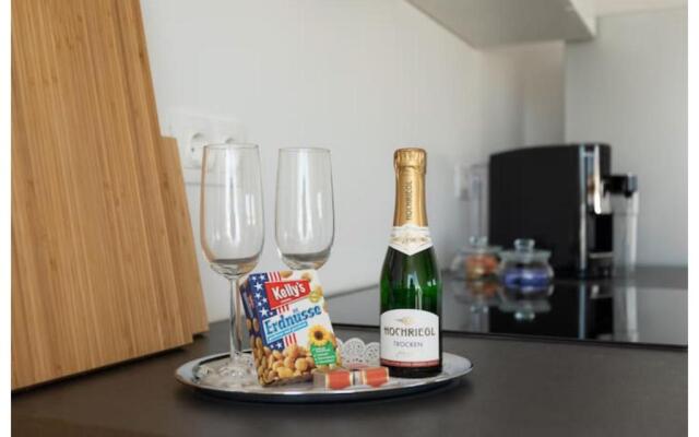 N45 · Penthouse near Schoenbrunn. Amazing Terrasse! N45