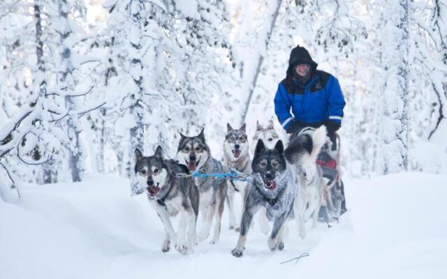 Wilderness Hotel Inari & Igloos
