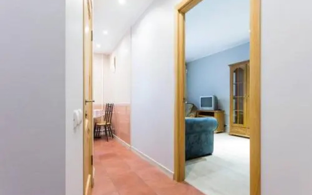 Apartments on Pechersk