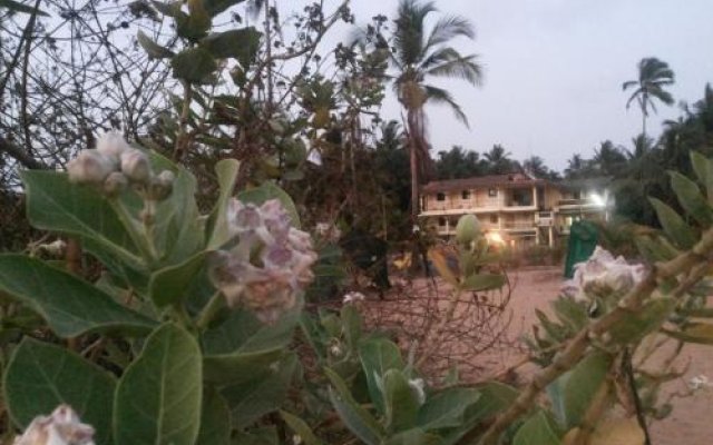Ivon Guest House, Arambol Beach