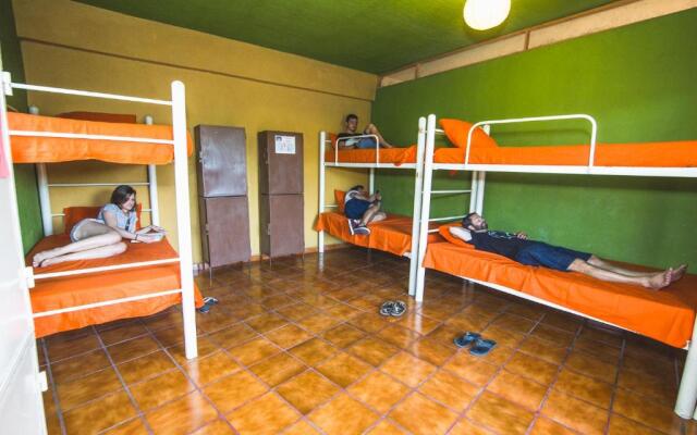 Oasis Hostel