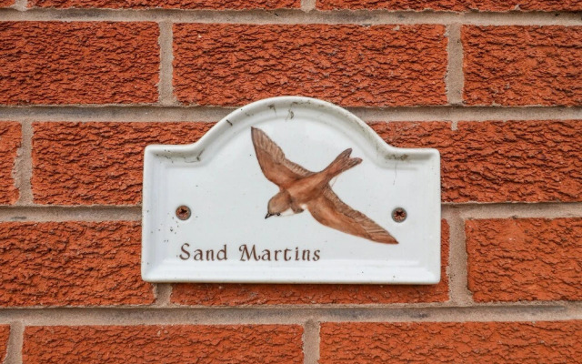 Sandmartins