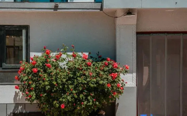 Yunting Guanhai Homestay
