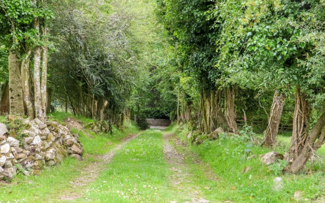 The Old White Cottage