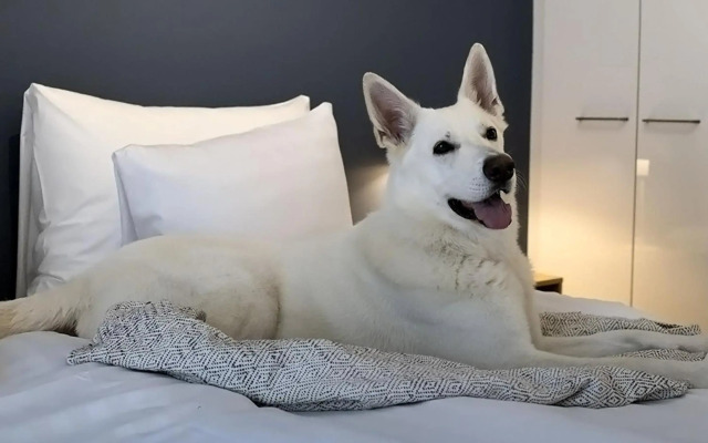 Hotel Matts