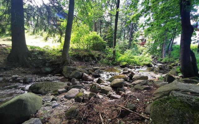 Apartamenty Wonder Home - Willa Karpacz