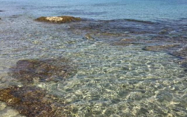 Villa sul mare Rosa Marina